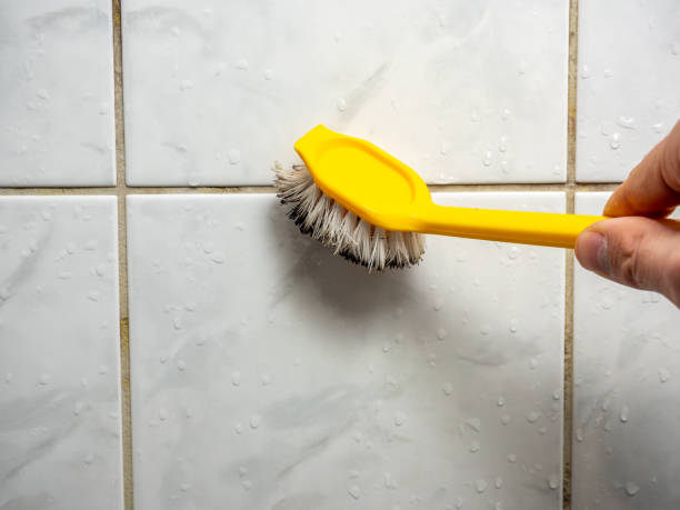 Best Residential Mold Removal  in Savoy, IL