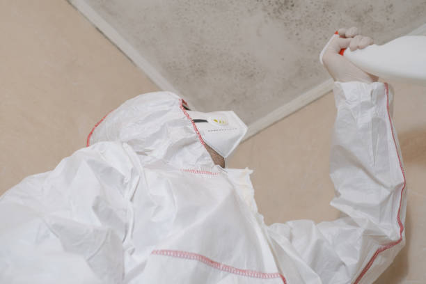 Best Mold Testing  in Savoy, IL